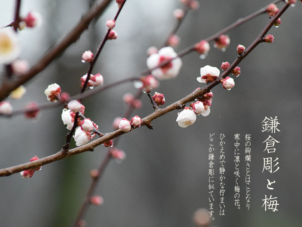 鎌倉彫陽雅堂 公式オンラインショップ | ご結婚祝い、内祝、引き出物